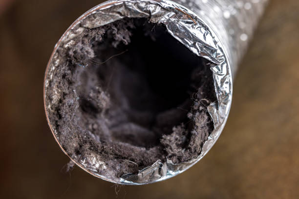 Best HVAC Duct Inspection Services  in Waynesburg, OH