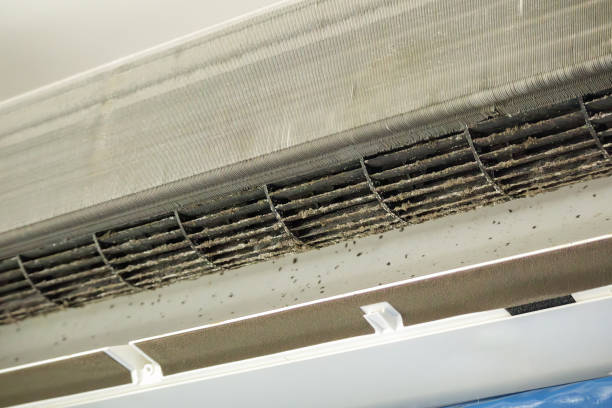 Best Air Duct Cleaning Near Me  in Waynesburg, OH