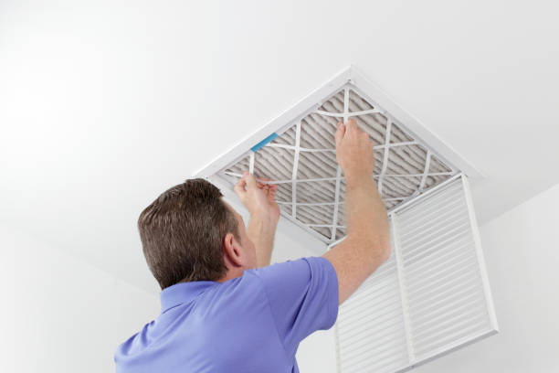 Best Air Duct Mold Removal  in Waynesburg, OH